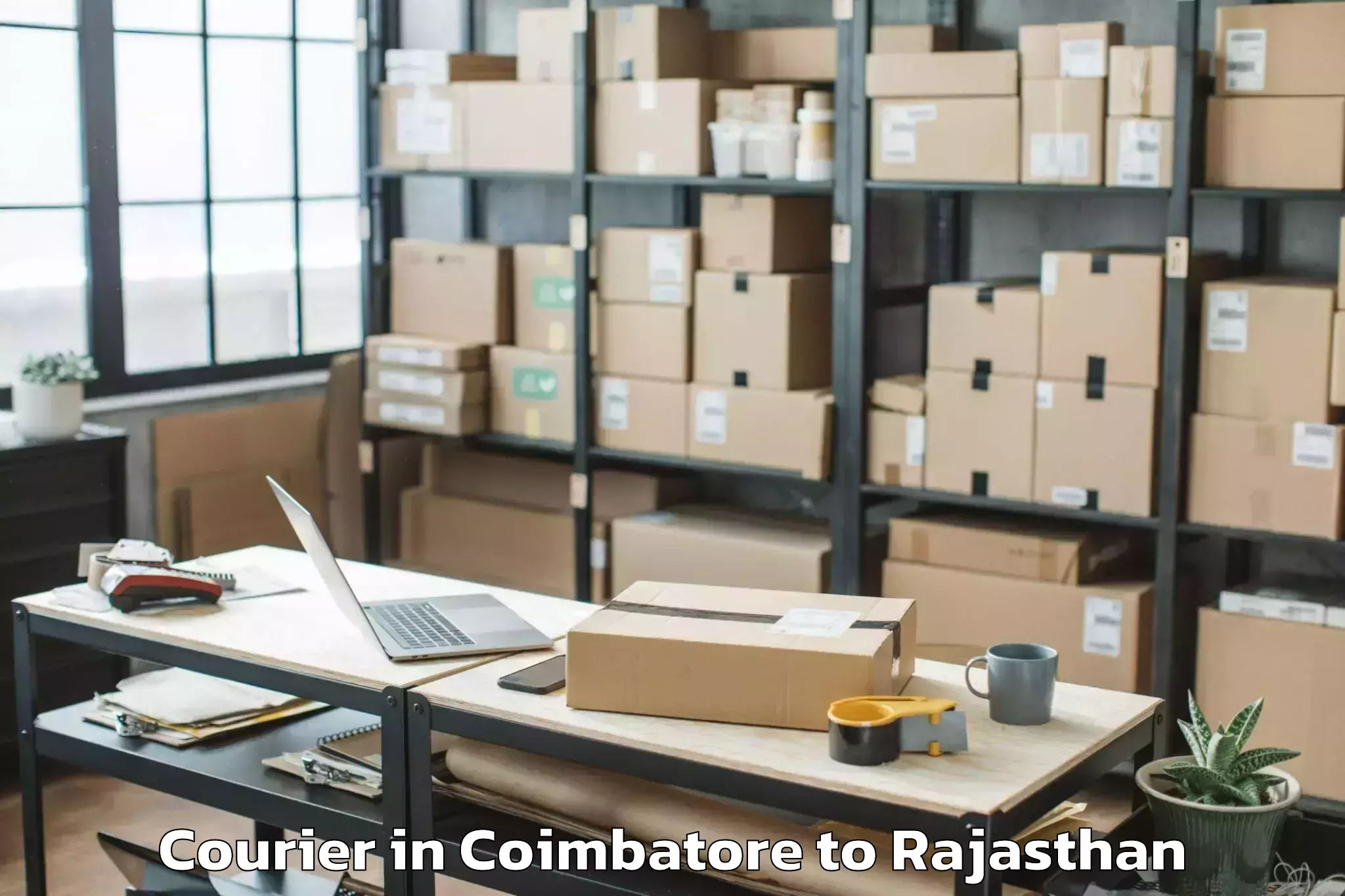 Book Coimbatore to Jhadol Courier Online